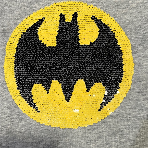 H&M DC Light Gray Hoodie with Reversible Superman and Batman Sequence Emblem - Picture 4 of 9